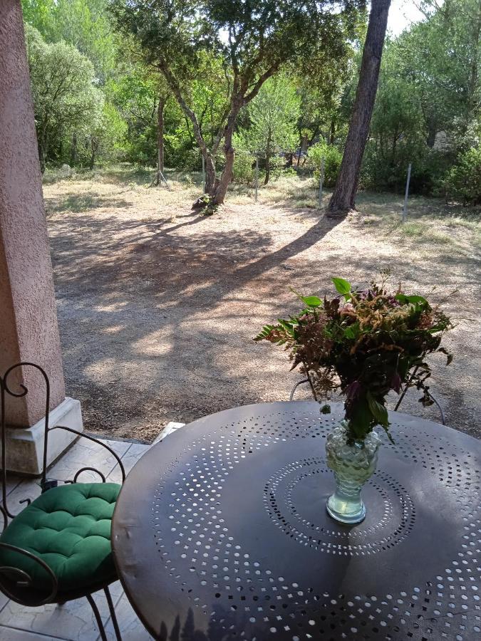 Chez Marie Bed & Breakfast Régusse Dış mekan fotoğraf