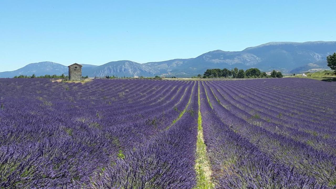 Chez Marie Bed & Breakfast Régusse Dış mekan fotoğraf