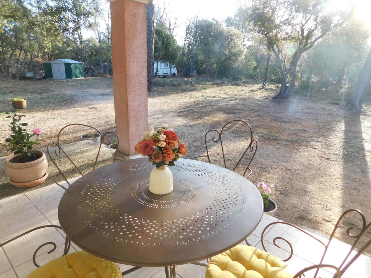 Chez Marie Bed & Breakfast Régusse Dış mekan fotoğraf